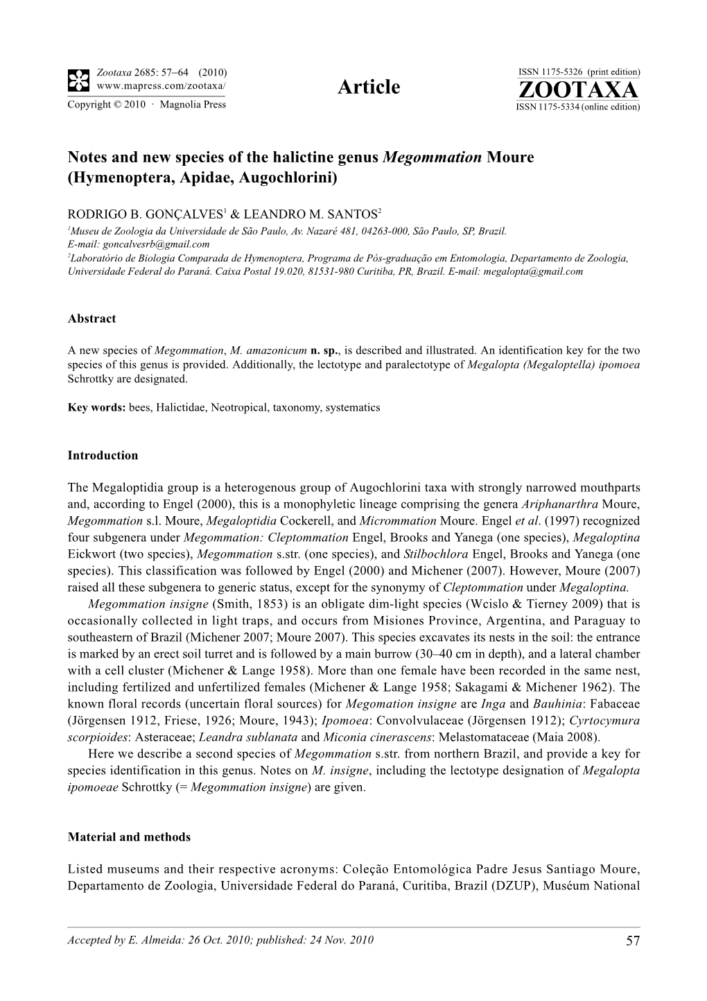 Notes and New Species of the Halictine Genus Megommation Moure (Hymenoptera, Apidae, Augochlorini)