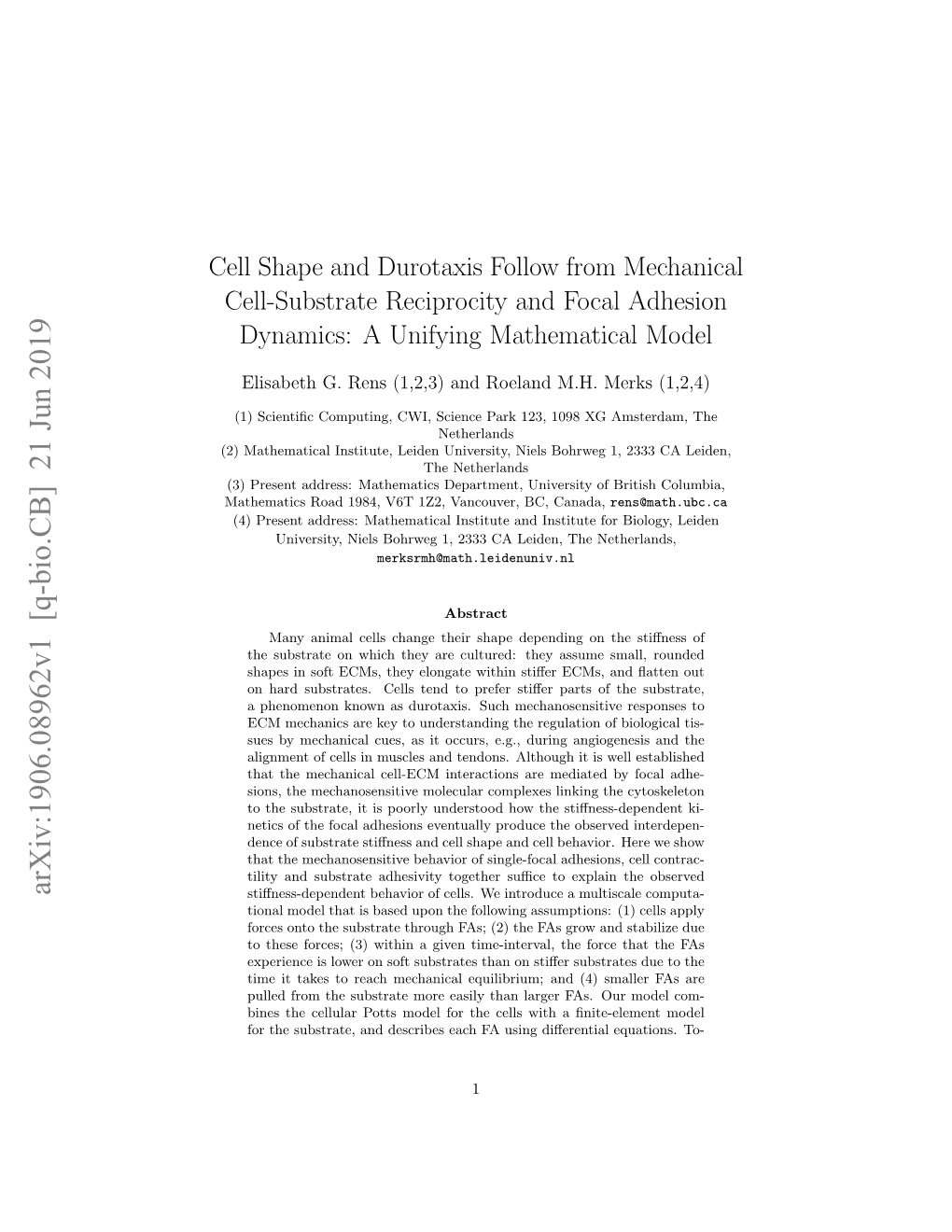 Cell Shape and Durotaxis Follow from Mechanical Cell-Substrate Reciprocity and Focal Adhesion Dynamics: a Unifying Mathematical Model