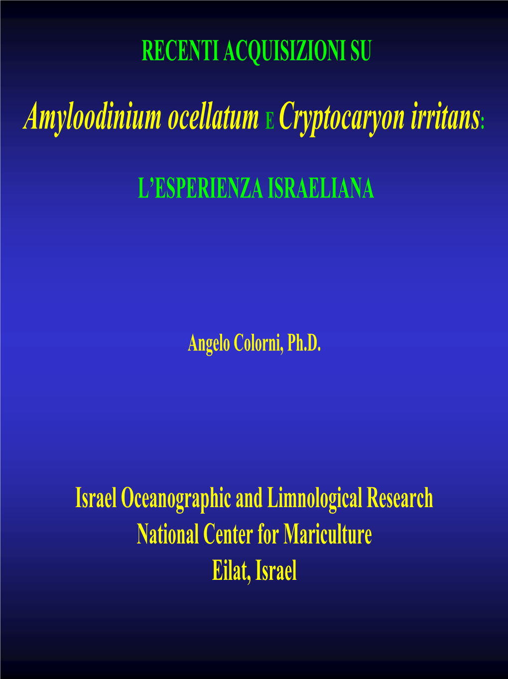 Cryptocaryon Irritans