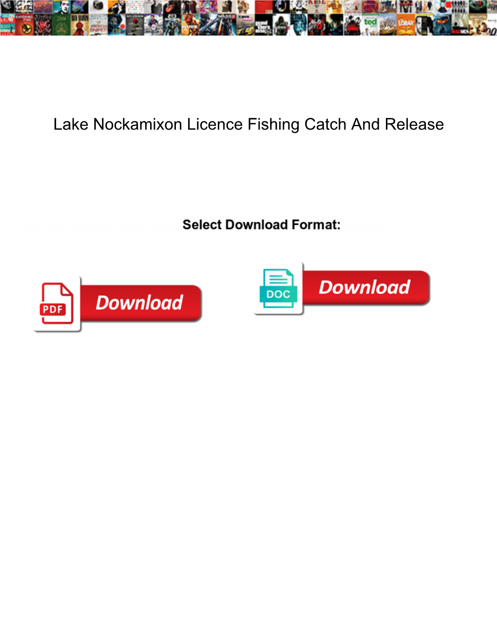 Lake Nockamixon Licence Fishing Catch and Release