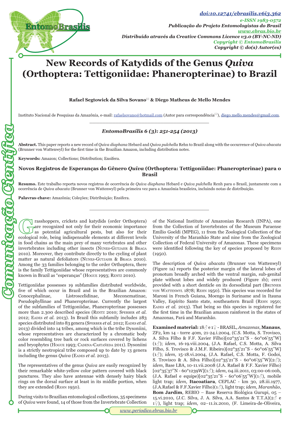 New Records of Katydids of the Genus Quiva (Orthoptera: Tettigoniidae: Phaneropterinae) to Brazil