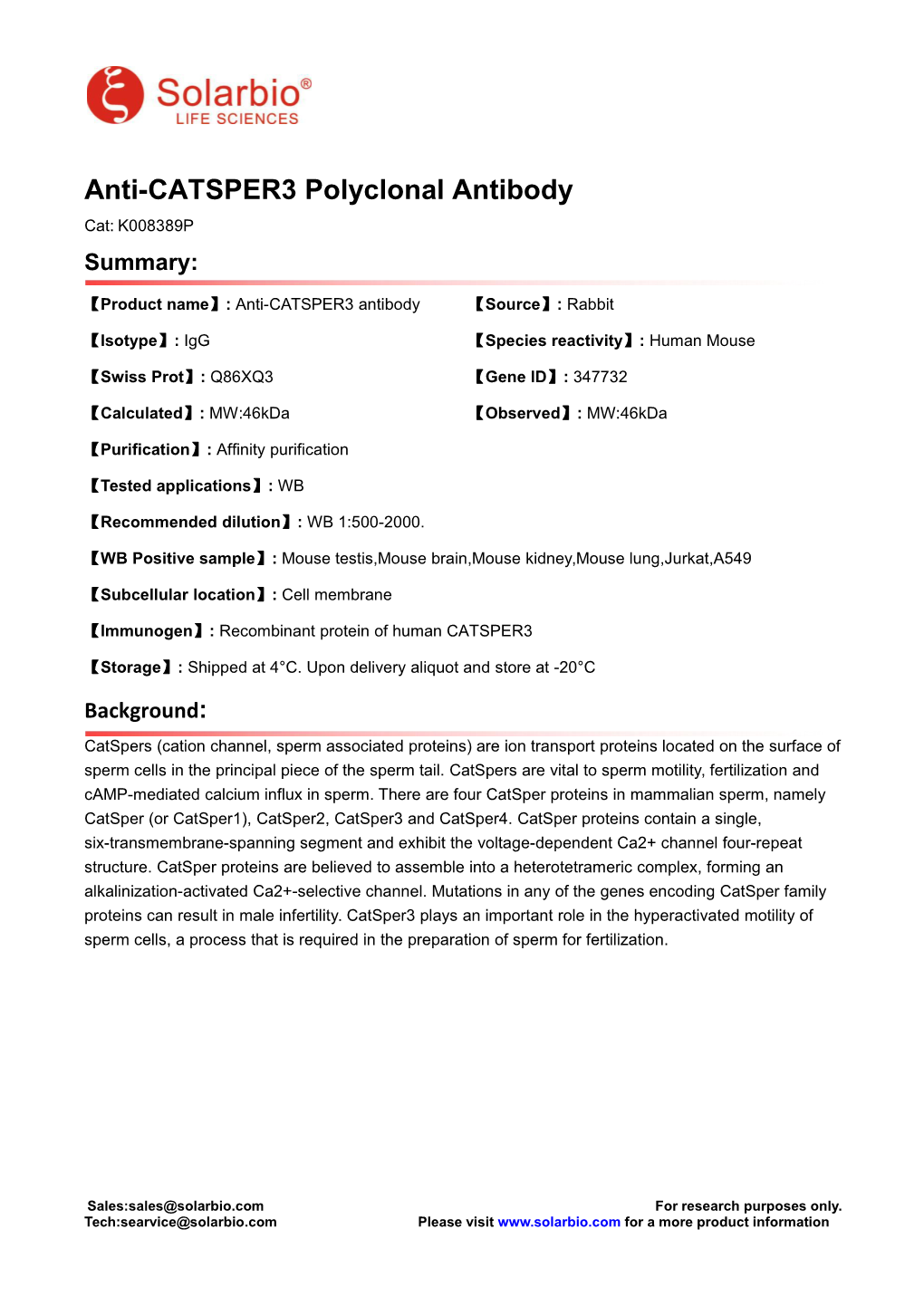 Anti-CATSPER3 Polyclonal Antibody Cat: K008389P Summary