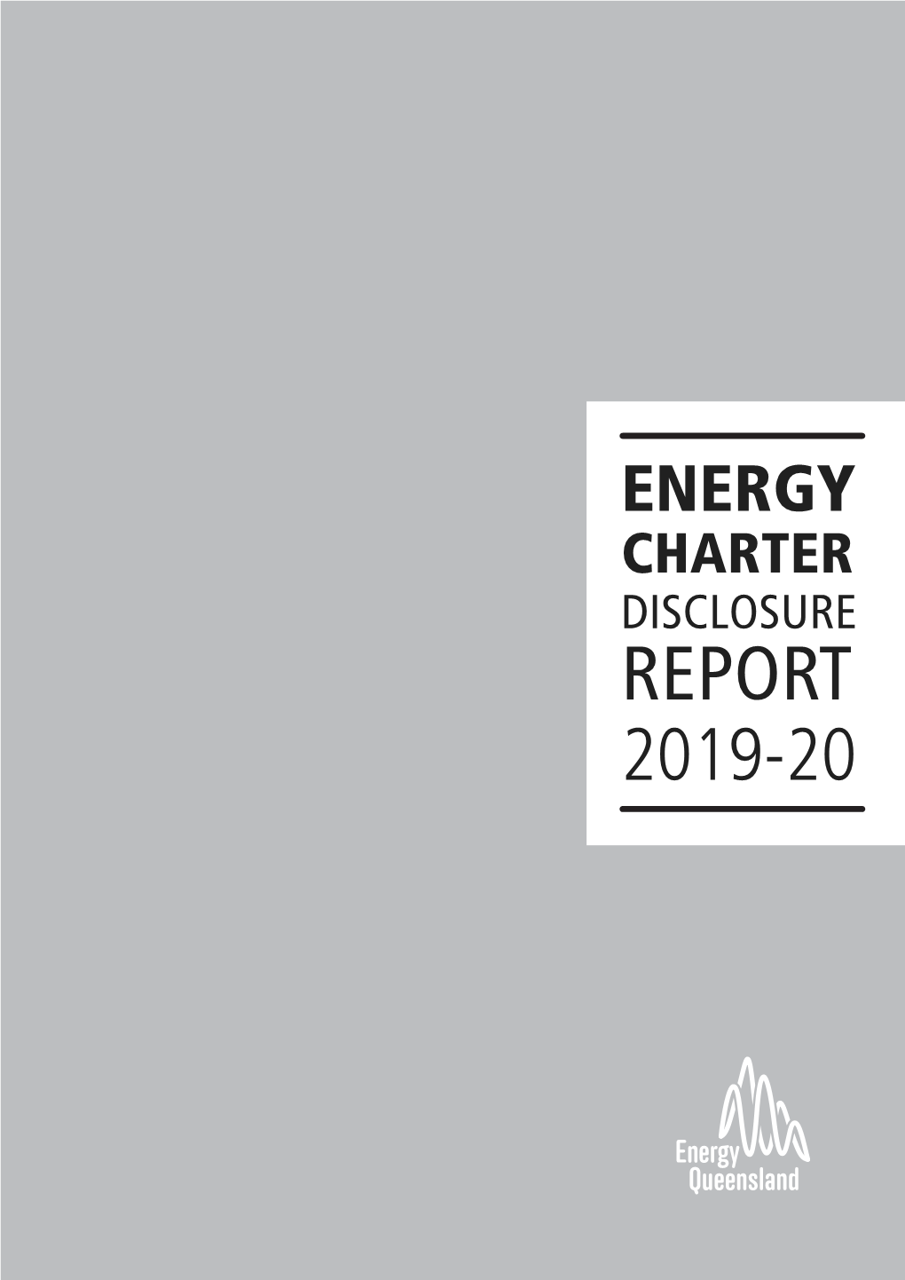 Energy Charter Disclosure Report 2019-2020