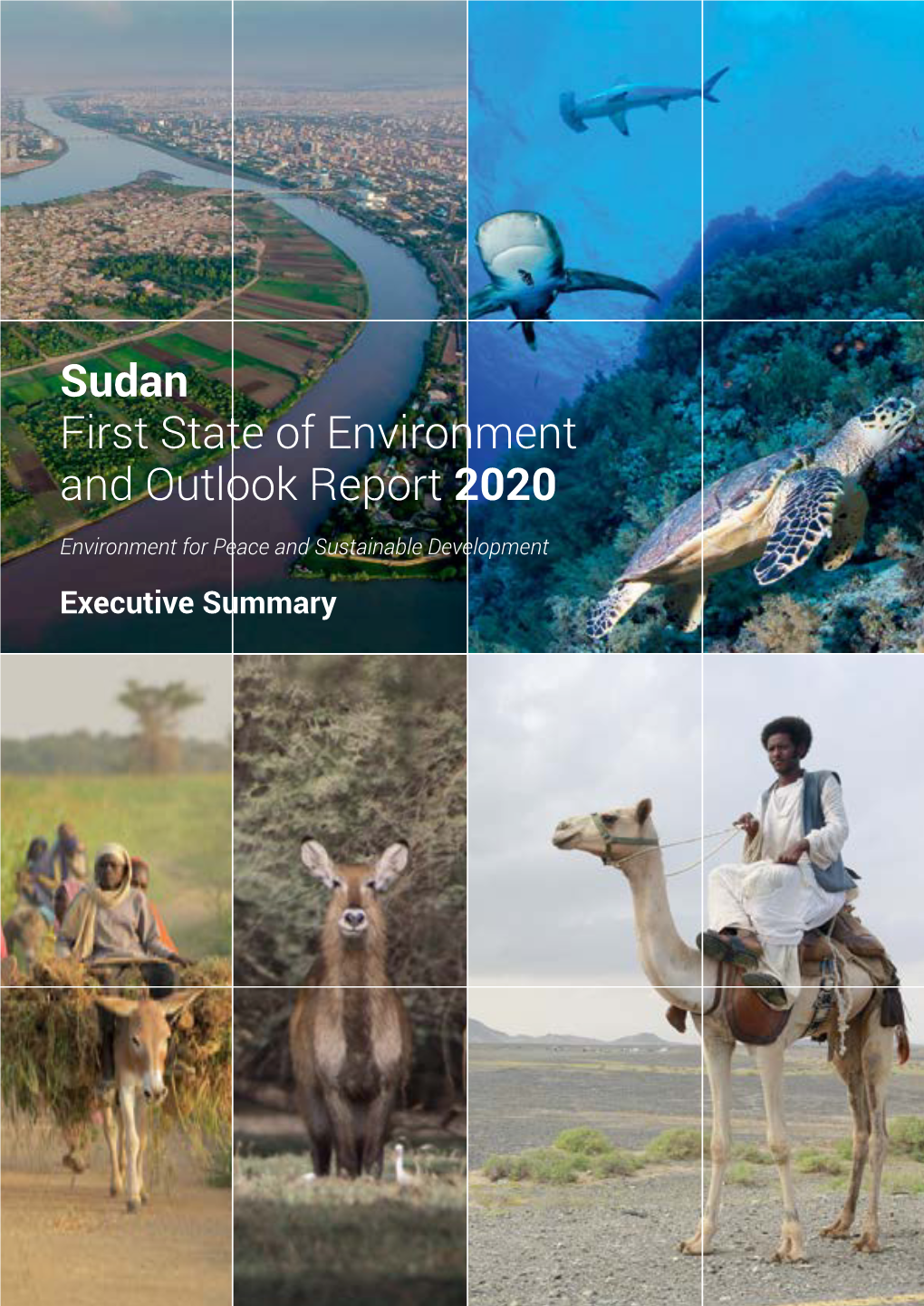 Sudan First State of Environment and Outlook Report 2020