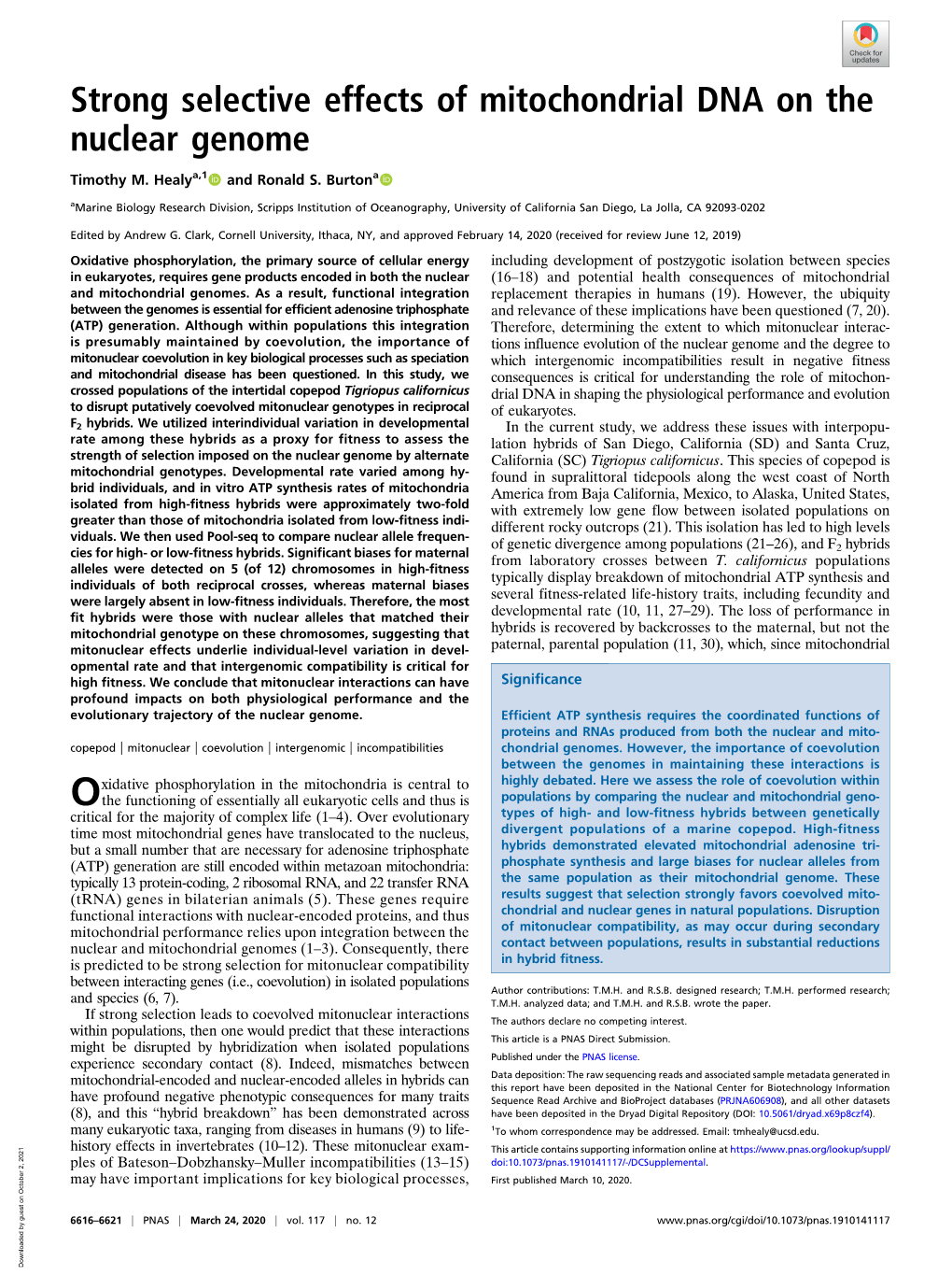 Strong Selective Effects of Mitochondrial DNA on the Nuclear Genome