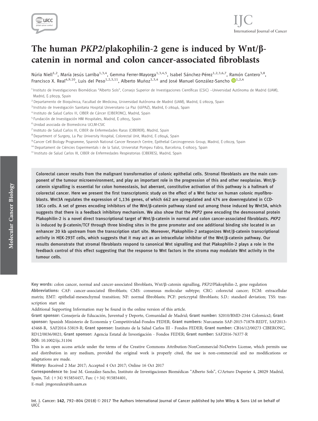 The Human PKP2/Plakophilin‐2 Gene Is Induced by Wnt/Β‐Catenin In