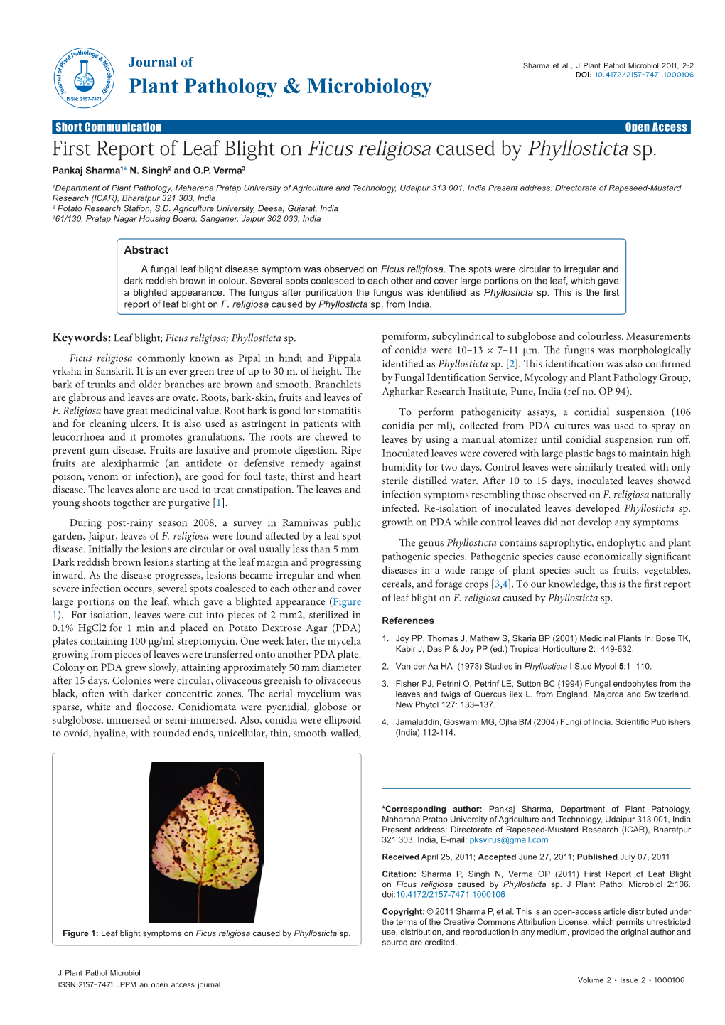 First Report of Leaf Blight on Ficus Religiosa Caused by Phyllosticta Sp