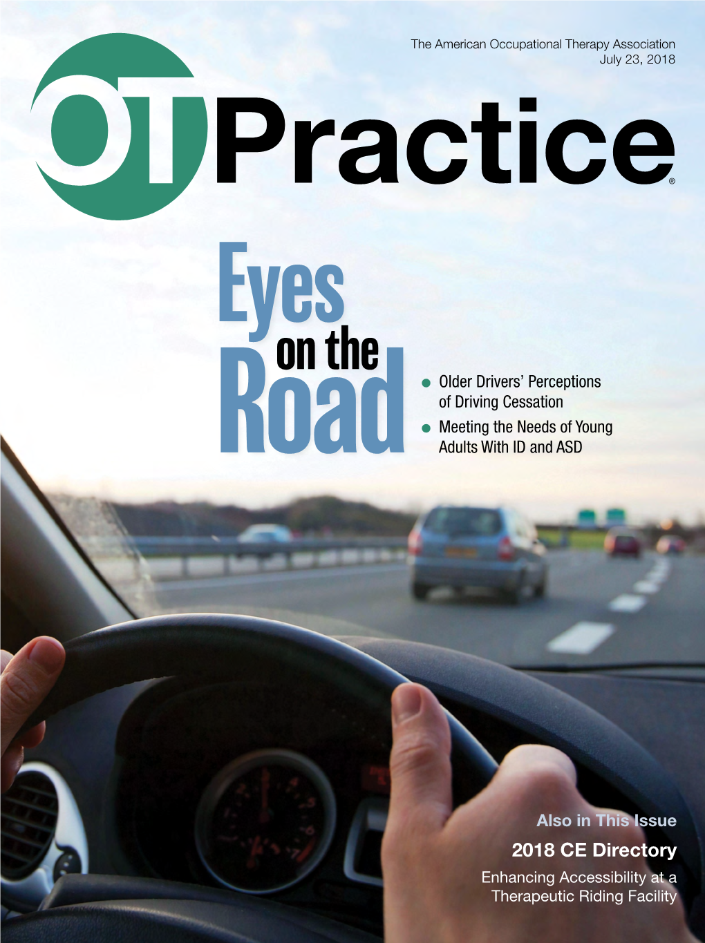 Practice® Eyes on the L Older Drivers’ Perceptions of Driving Cessation L Meeting the Needs of Young Road Adults with ID and ASD