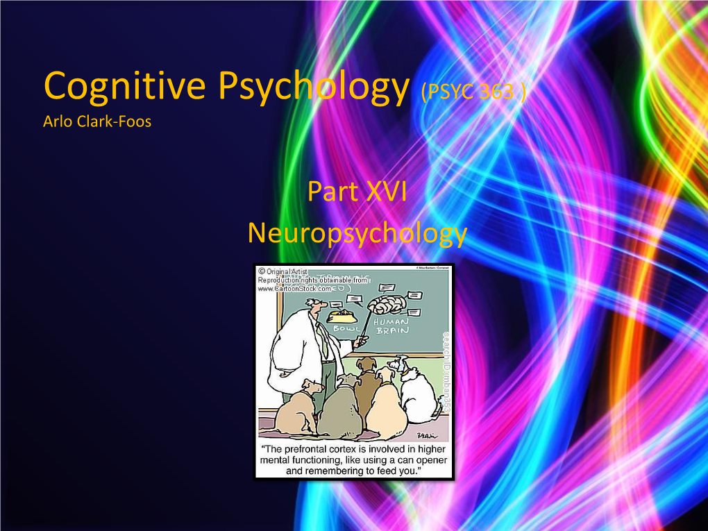 Psyc 4100 Cognitive Psychology Thad Meeks