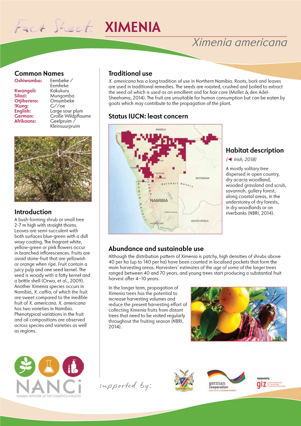 Fact Sheet: Ximenia Americana