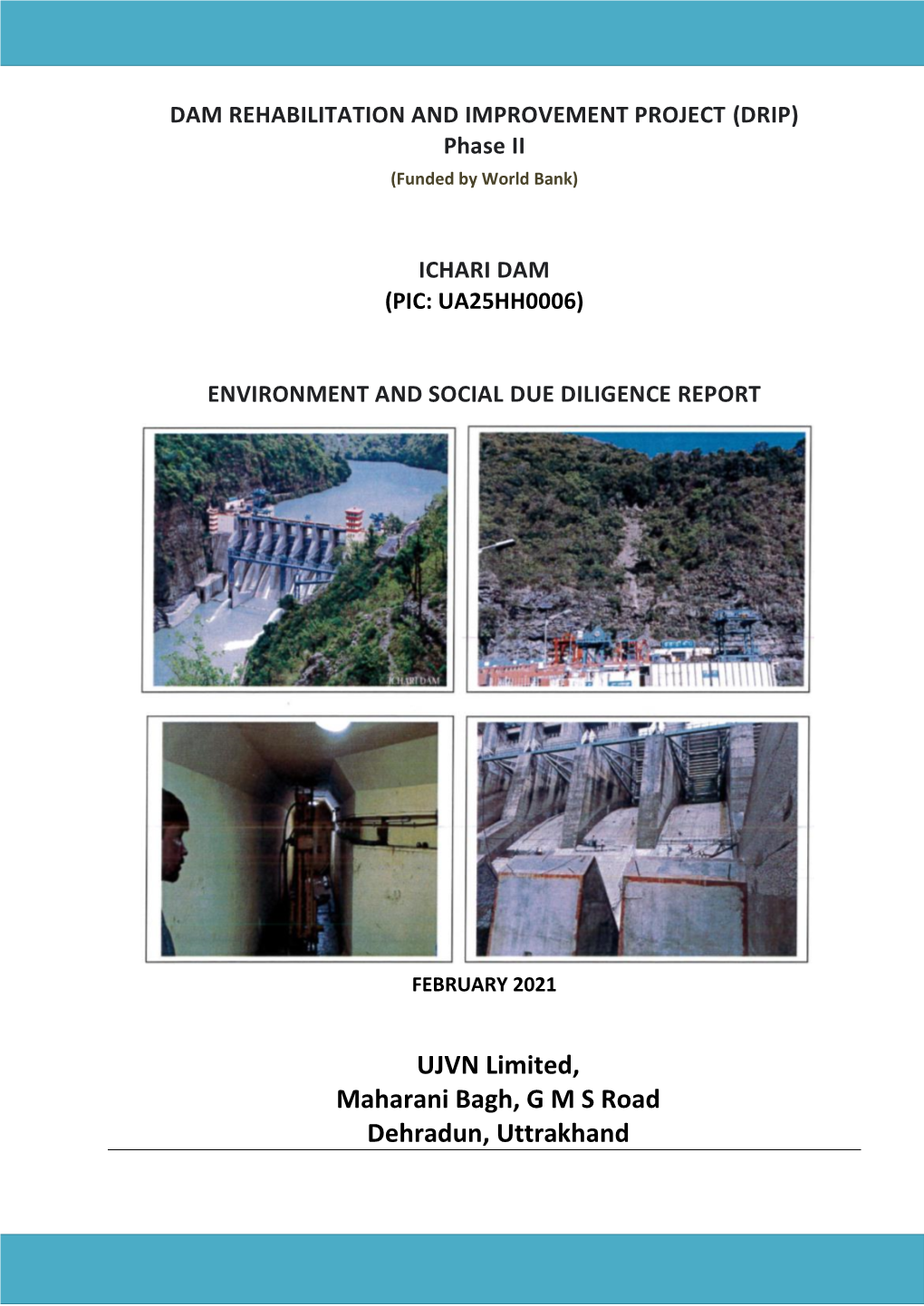 Environment and Social Due Diligence Report, Ichari