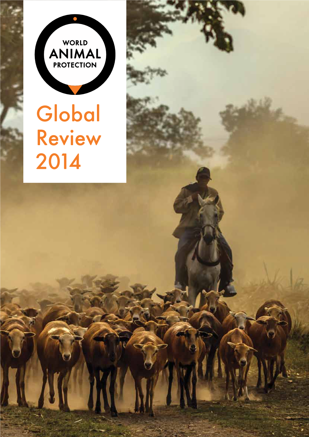 Global Review 2014