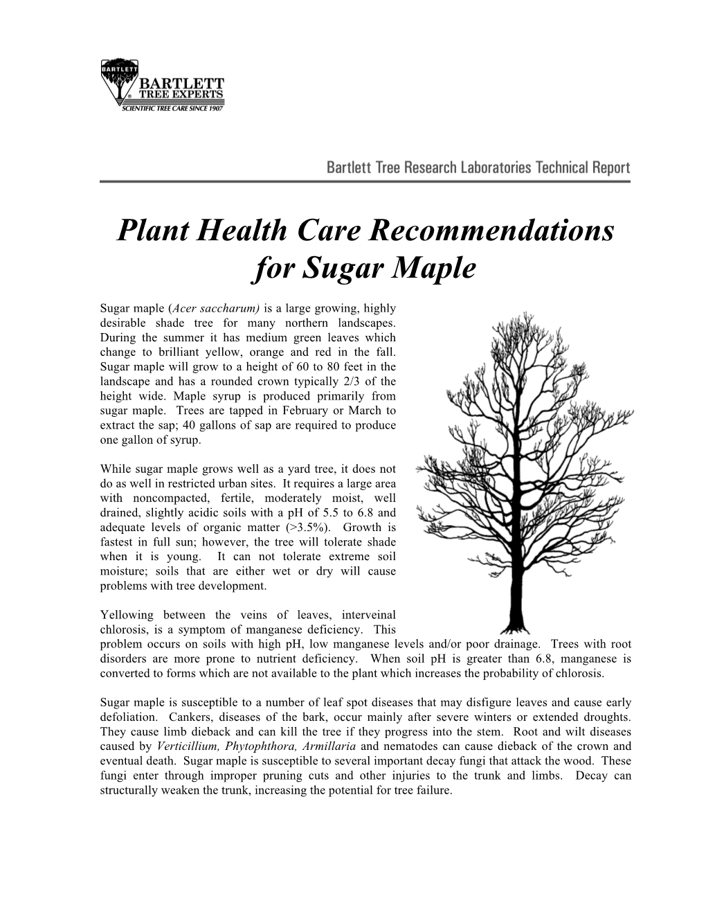 Plant Health Care Recommendations for Sugar Maple