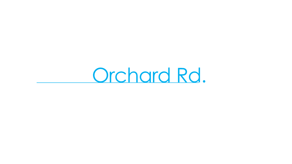 Orchard Rd Presentation (Assign 1)