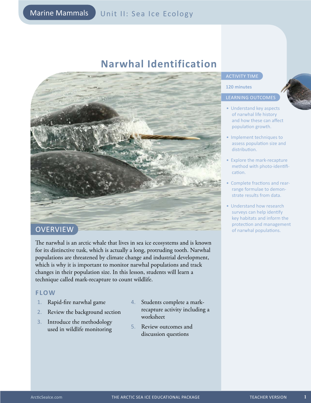 Narwhal Identification ACTIVITY TIME