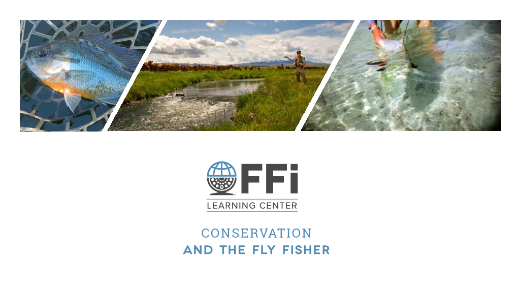 Conservation and the Fly Fisher