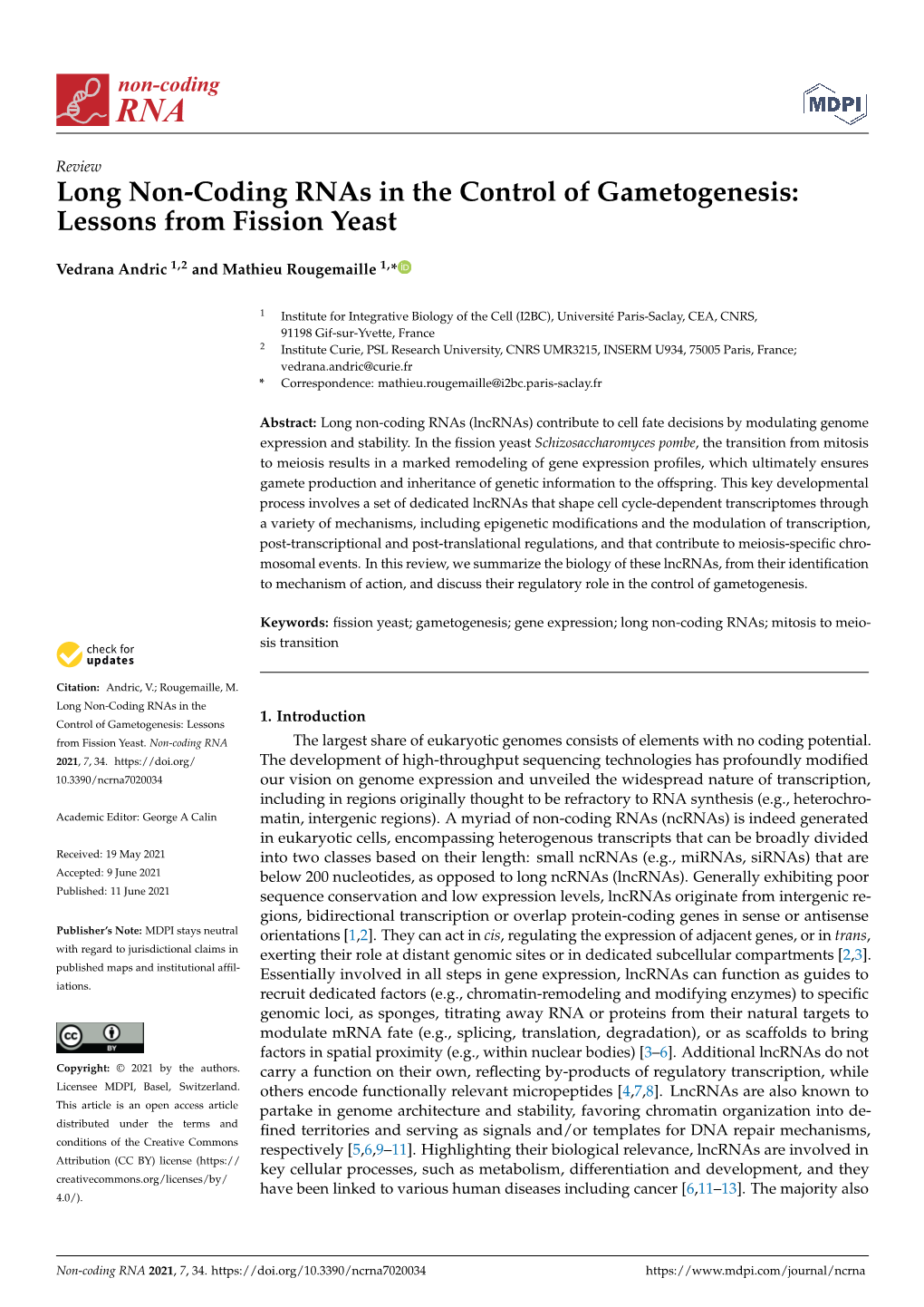 Long Non-Coding Rnas in the Control of Gametogenesis: Lessons from Fission Yeast