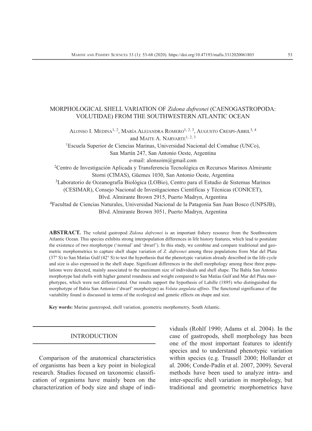 MORPHOLOGICAL SHELL VARIATION of Zidona Dufresnei (CAENOGASTROPODA: VOLUTIDAE) from the SOUTHWESTERN ATLANTIC OCEAN