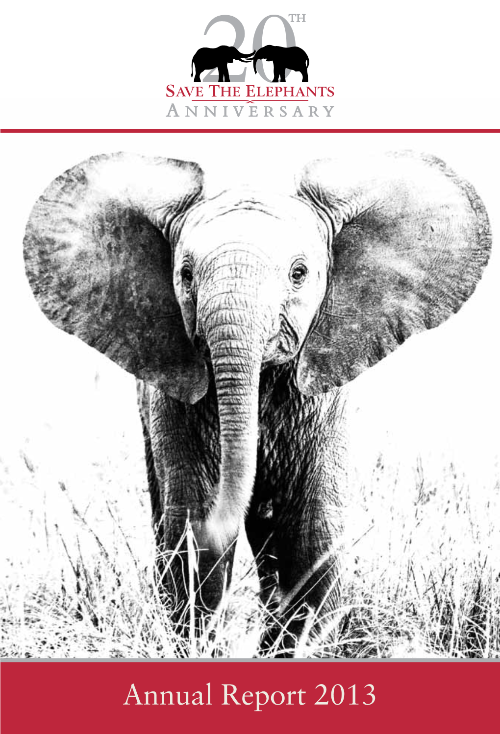 Annual Report 2013 SECURING a FUTURE for ELEPHANTS 01 a Letter from Our Founder
