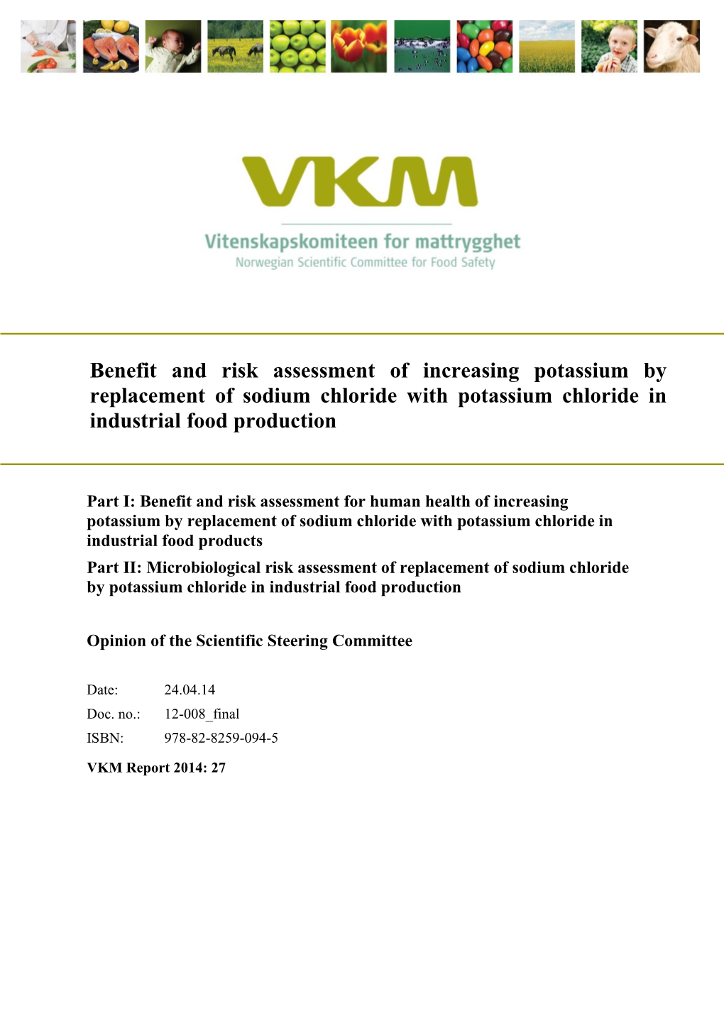 Benefit and Risk Assessment of Increasing Potassium by Replacement of Sodium Chloride with Potassium Chloride in Industrial Food Production