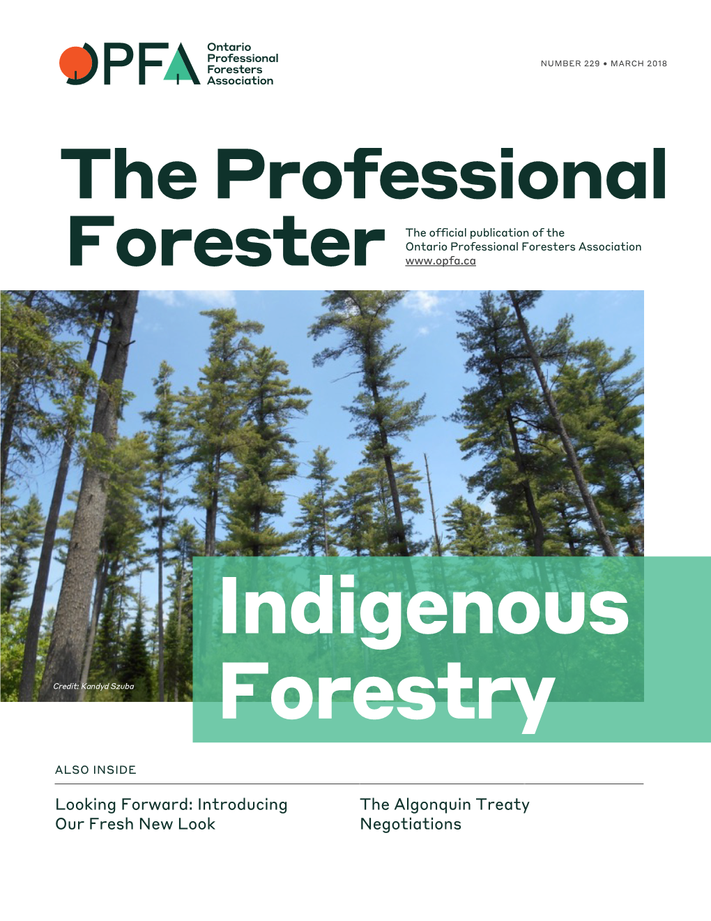 Indigenous Forestry Program (IFP) As Culture