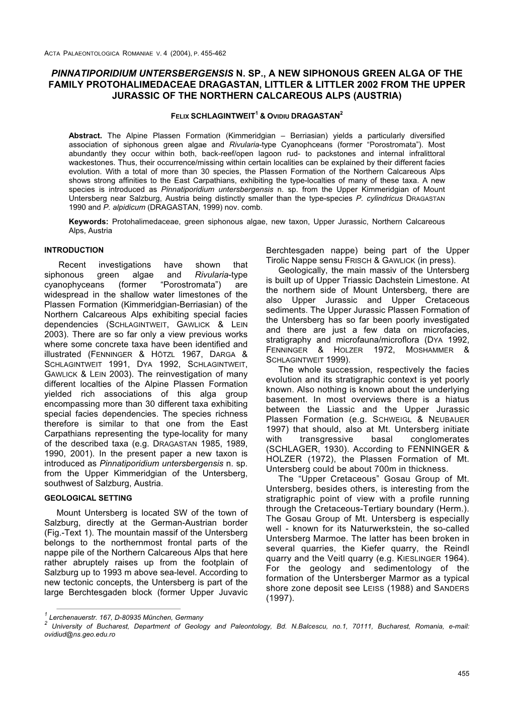 Pinnatiporidium Untersbergensis N. Sp., a New Siphonous Green Alga Of