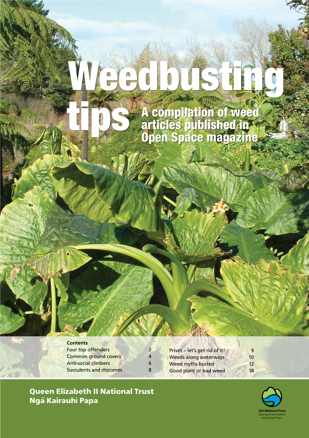 Weeds Along Waterways 10 Anti-Social Climbers 6 Weed Myths Busted 12 Succulents and Rhizomes 8 Good Plant Or Bad Weed 14