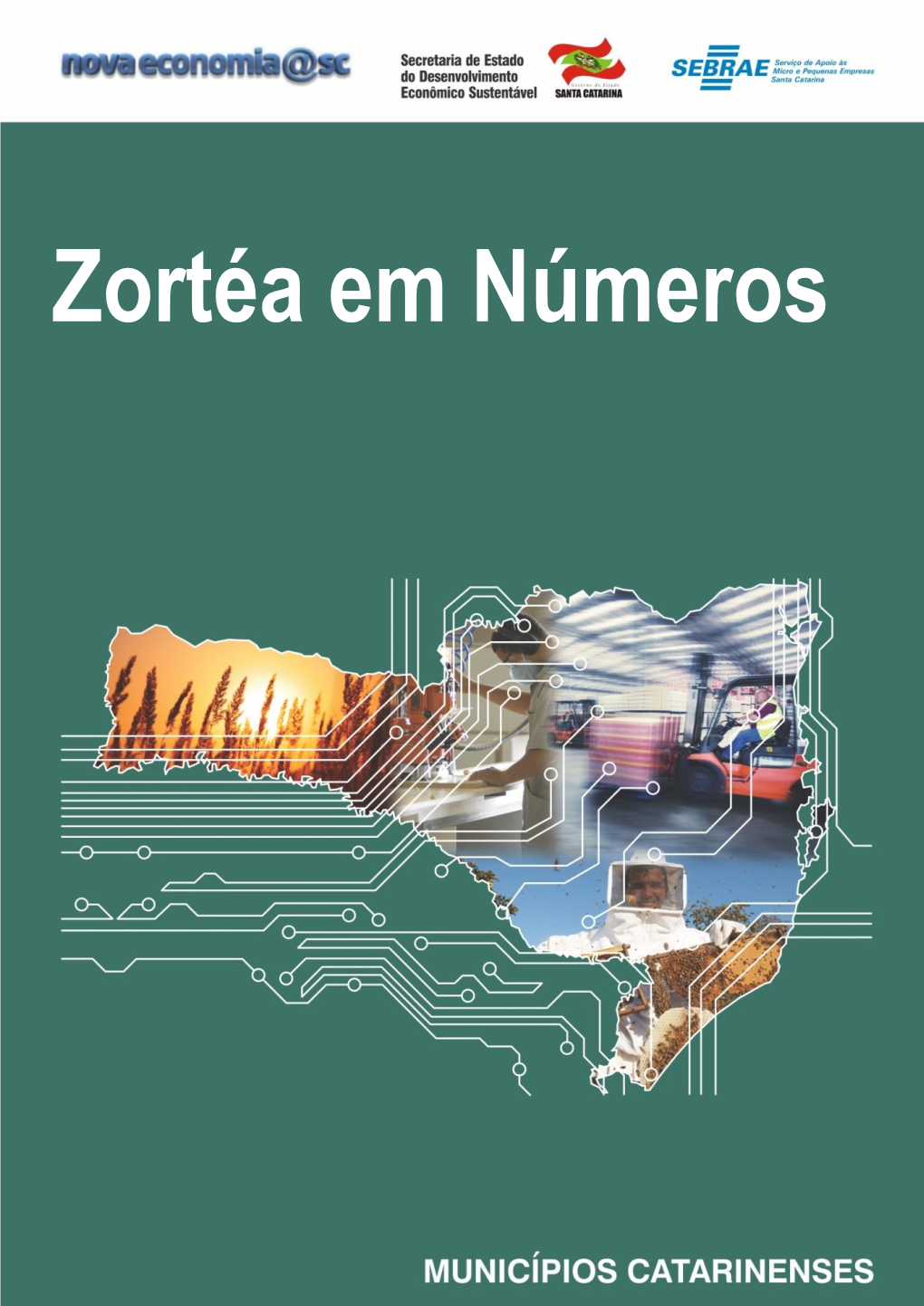 Zortéa Em Números