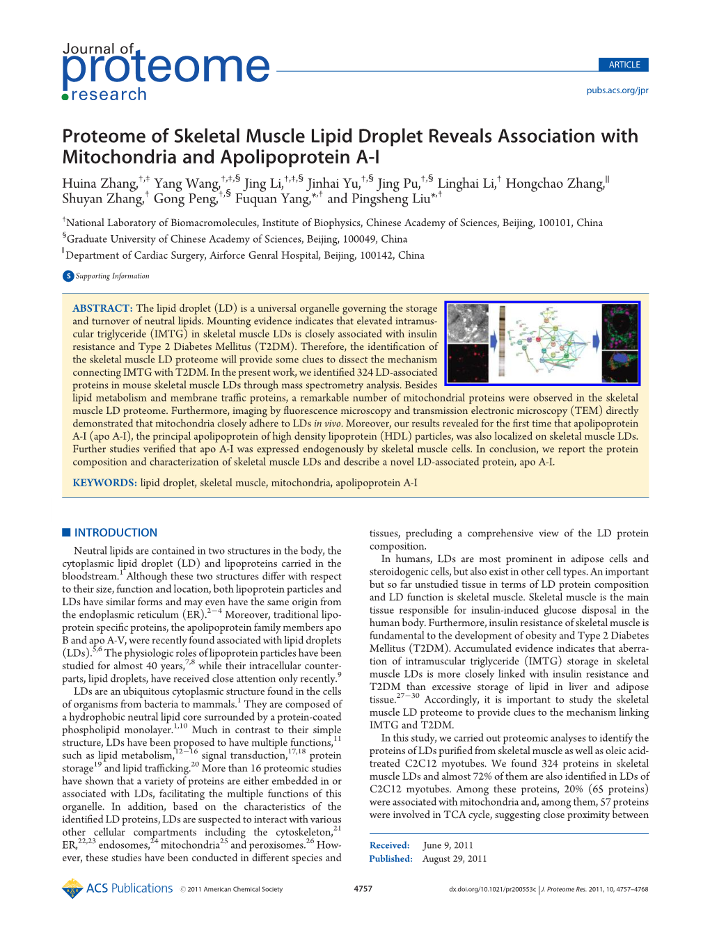 Proteome of Skeletal Muscle Lipid Droplet Reveals Association With