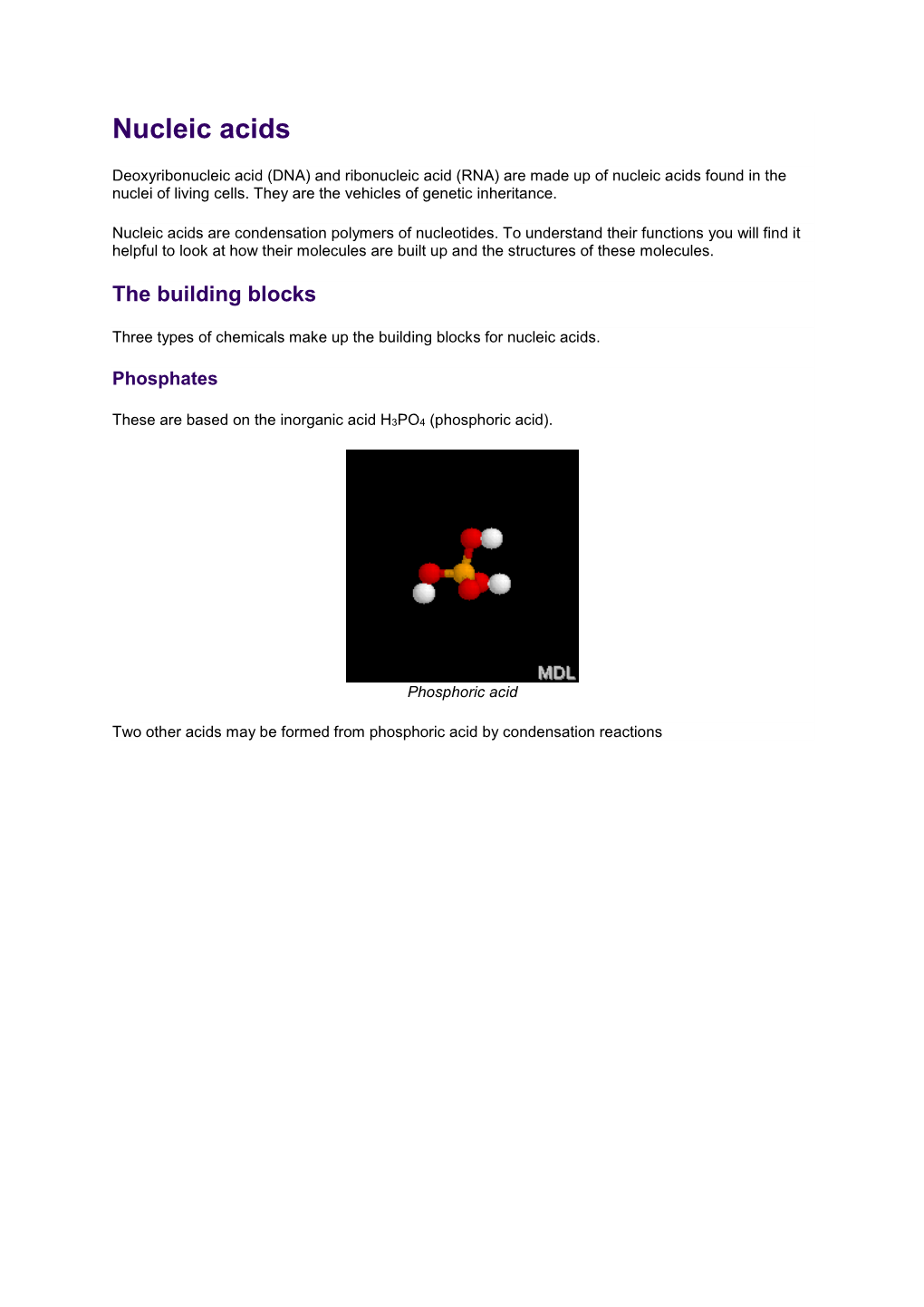 Nucleic Acids