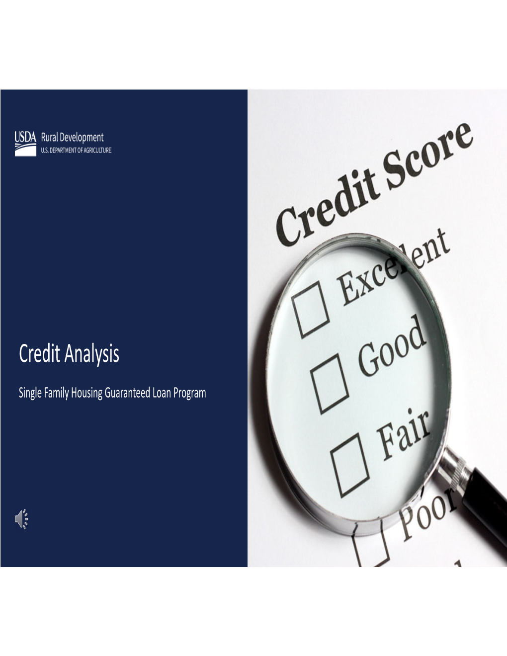 Single Family Housing Guaranteed Loan Program Credit Analysis