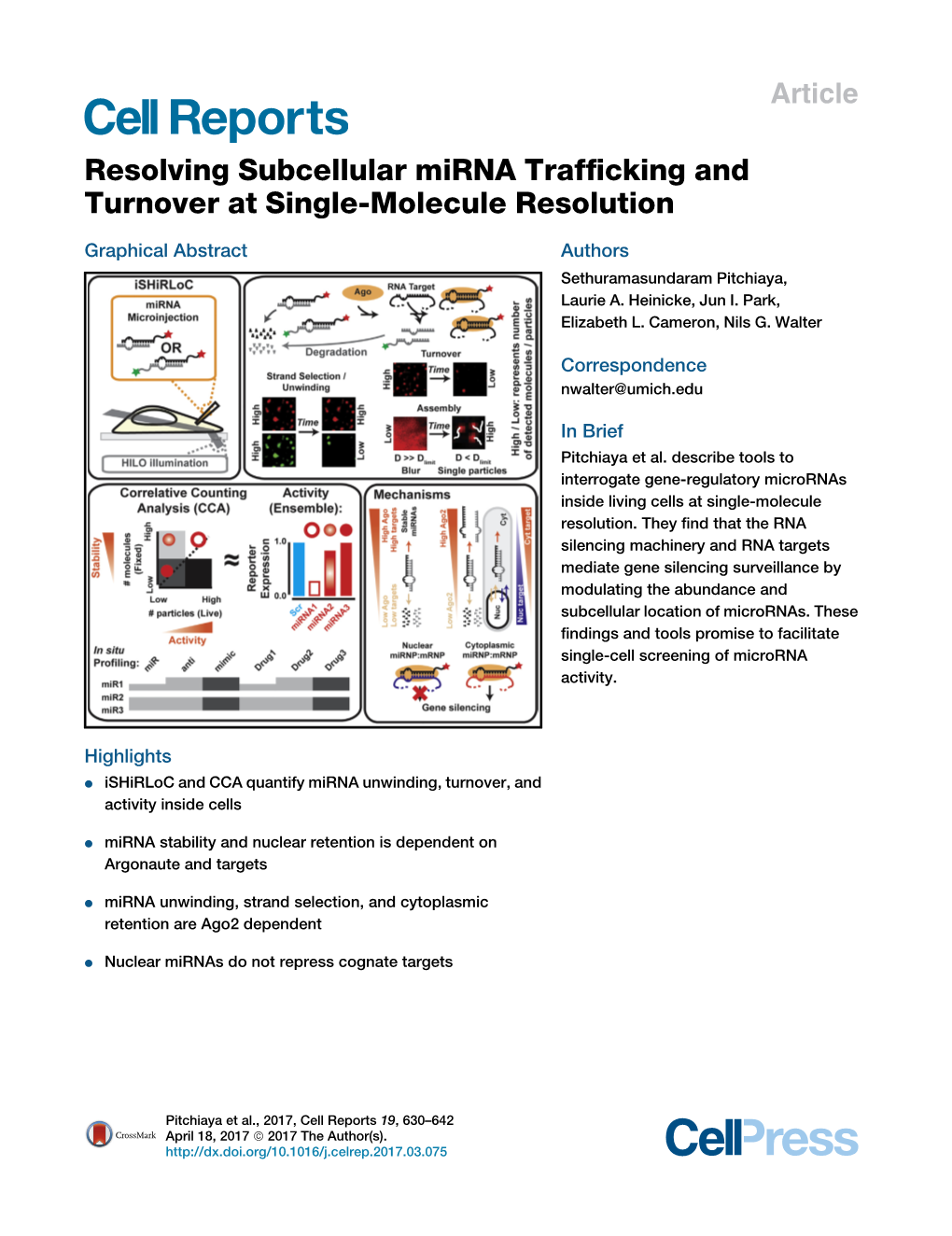 Resolving Subcellular Mirna Trafficking and Turnover at Single