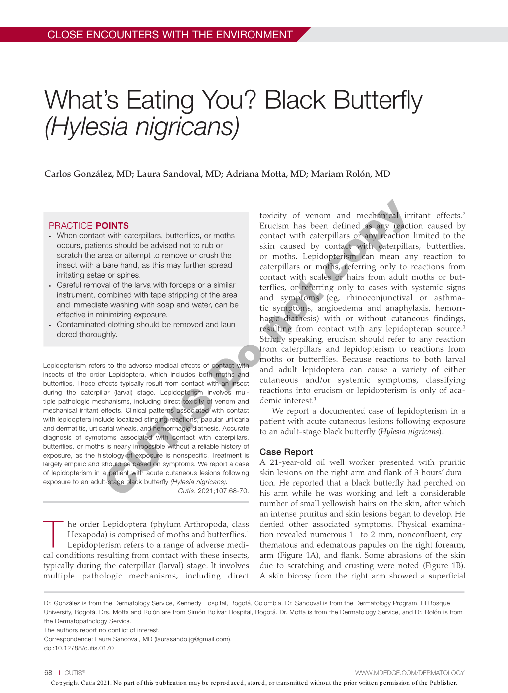 What's Eating You? Black Butterfly (Hylesia Nigricans)