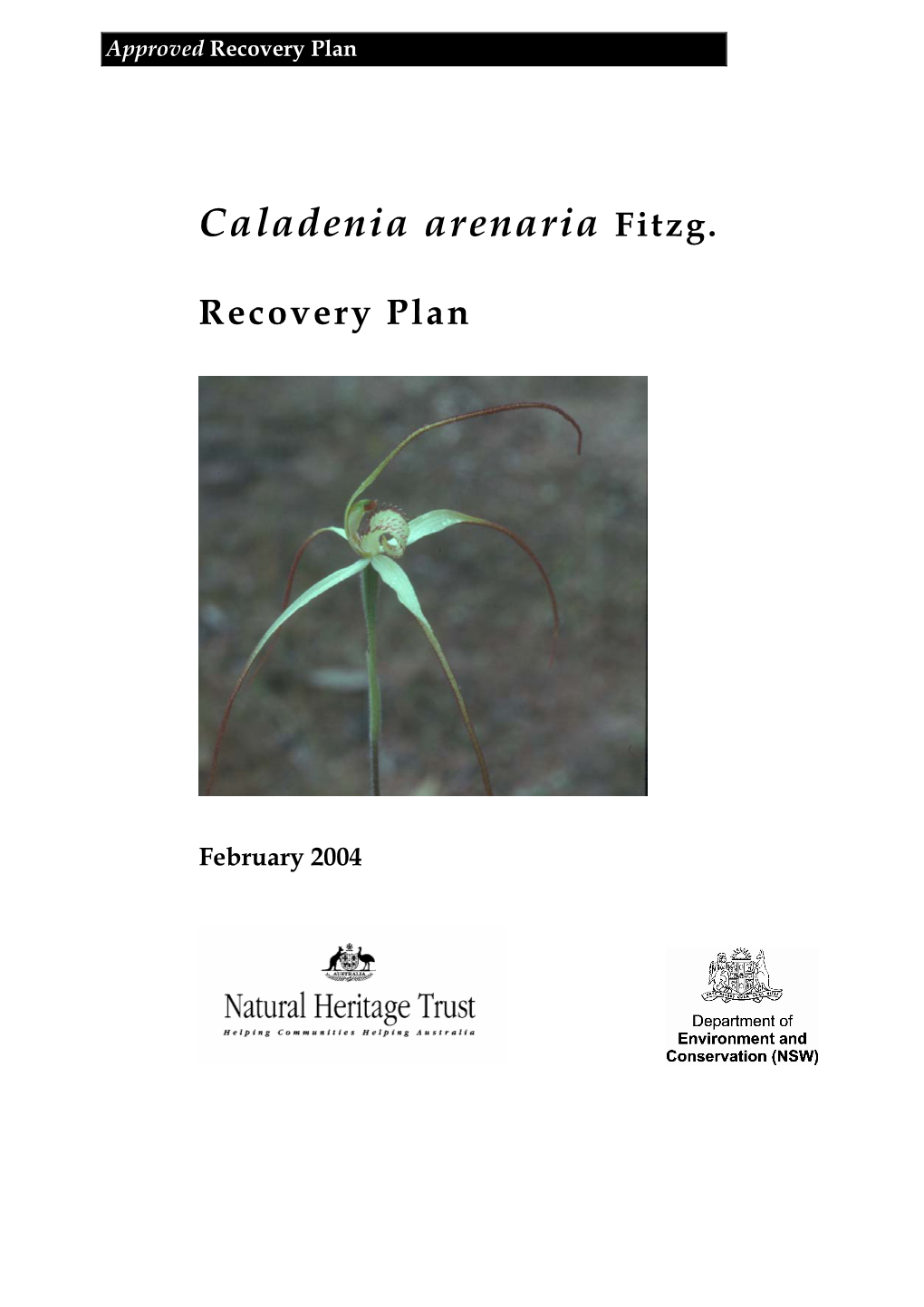 Caladenia Arenaria Fitzg. Recovery Plan