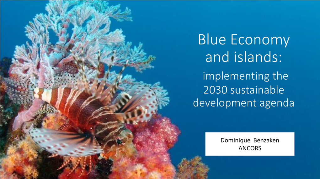 Blue Economy and Islands: Implementing the 2030 Sustainable Development Agenda