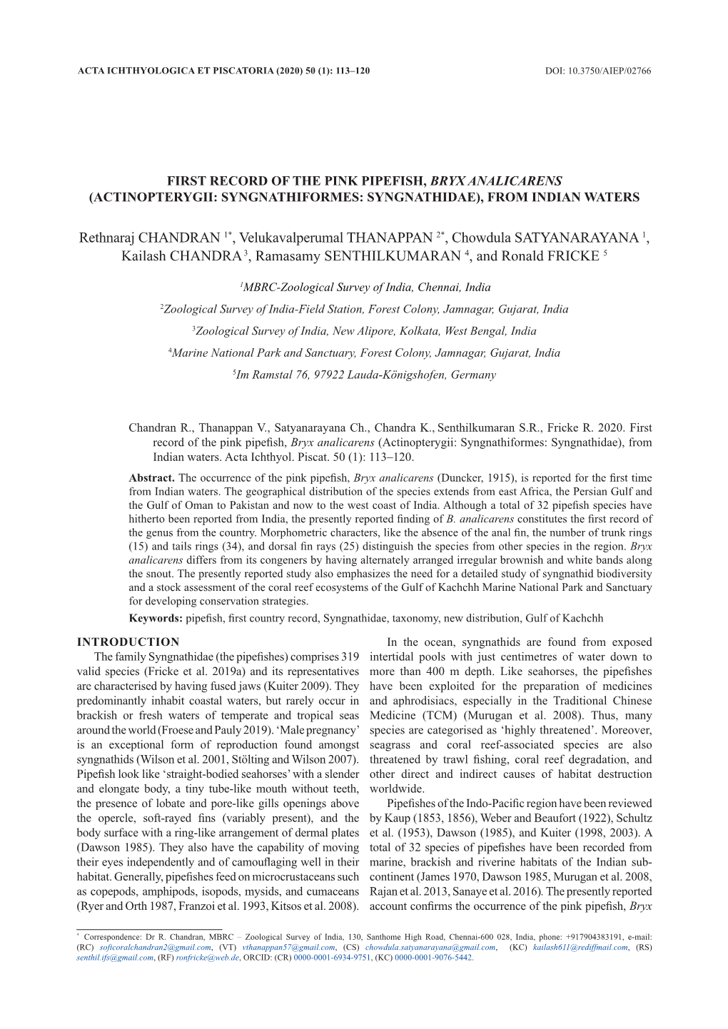 First Record of the Pink Pipefish, Bryx Analicarens (Actinopterygii: Syngnathiformes: Syngnathidae), from Indian Waters