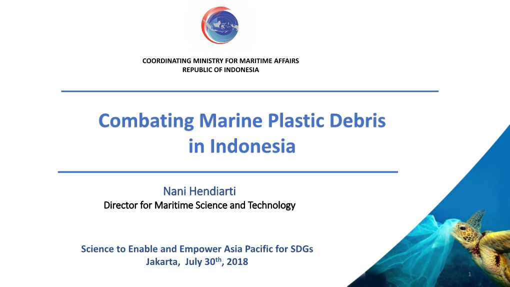 Combating Marine Plastic Debris in Indonesia
