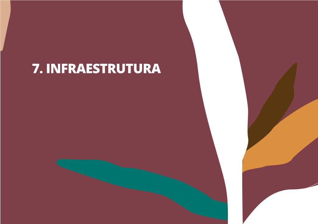 7. Infraestrutura