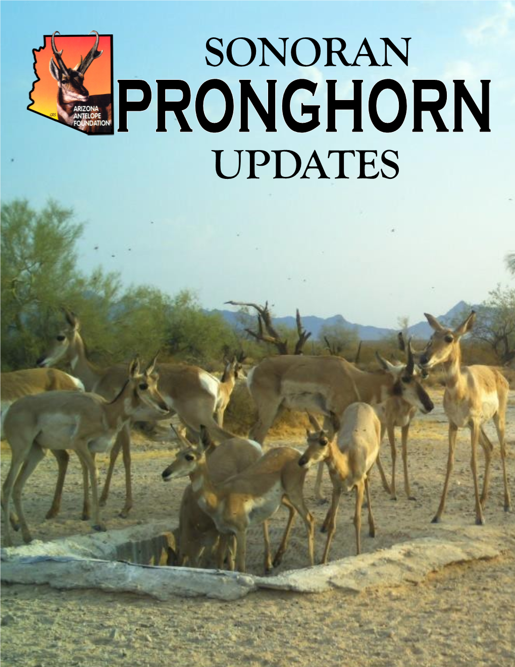 Sonoran Updates