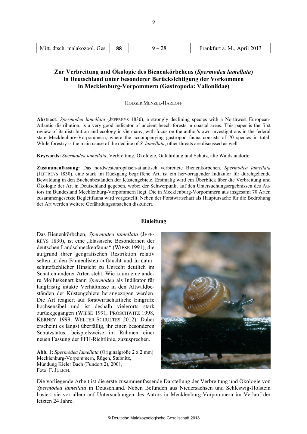 Spermodea Lamellata) in Deutschland Unter Besonderer Berücksichtigung Der Vorkommen in Mecklenburg-Vorpommern (Gastropoda: Valloniidae)