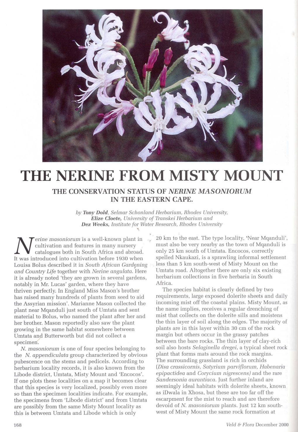 The Nerine from Misty Mount the Conservation Status of Nerine Masoniorum in the Eastern Cape