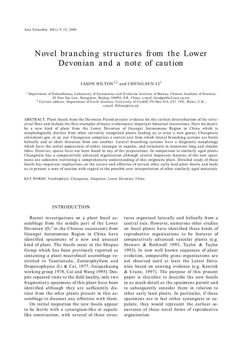 Novel Branching Structures from the Lower Devonian and a Note of Caution