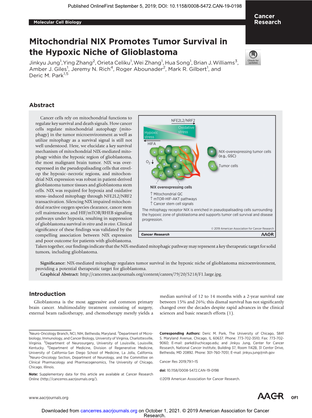 Mitochondrial NIX Promotes Tumor Survival in the Hypoxic Niche of Glioblastoma