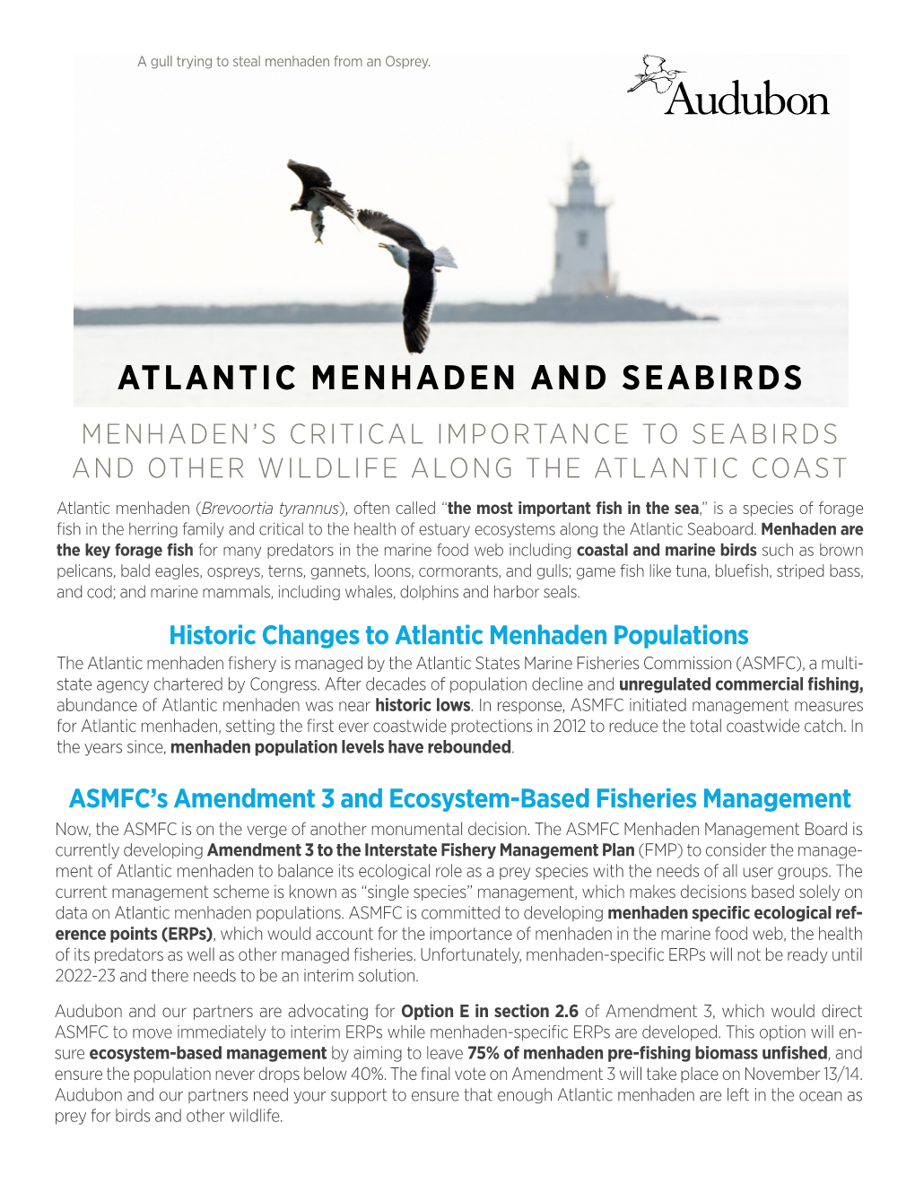 Atlantic Menhaden and Seabirds Menhaden’S Critical Importance to Seabirds and Other Wildlife Along the Atlantic Coast