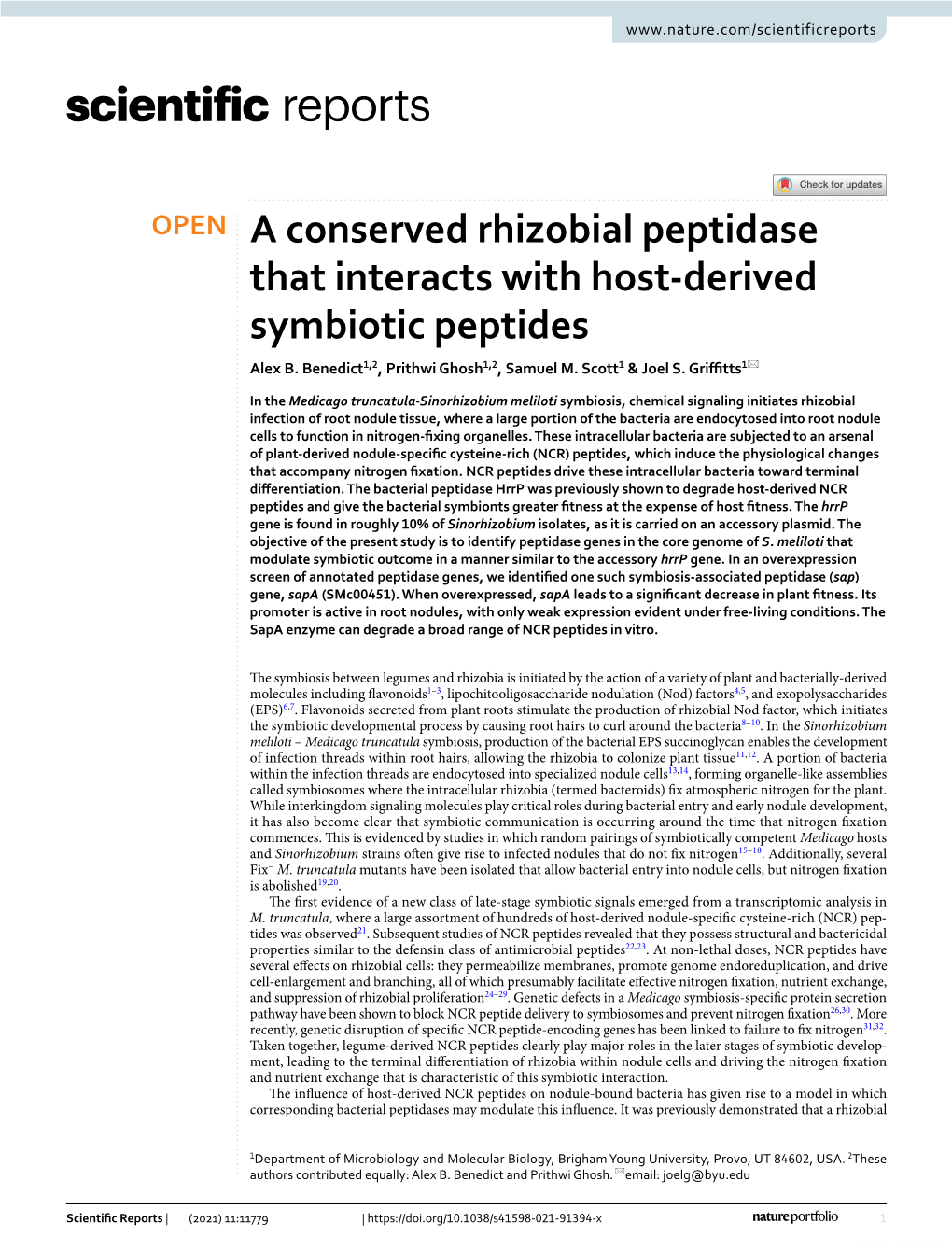 A Conserved Rhizobial Peptidase That Interacts with Host-Derived