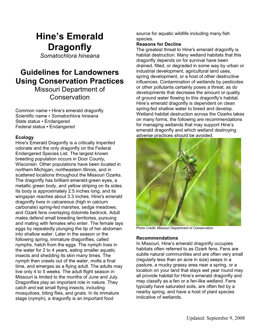 Hine's Emerald Dragonfly Is Somatochlora Hineana Habitat Destruction
