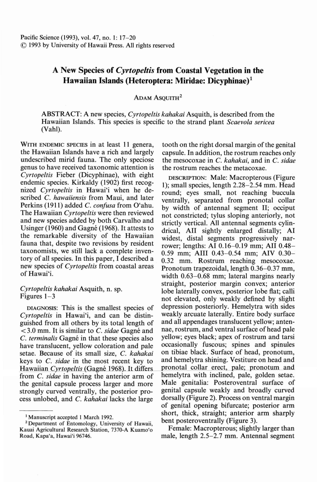 A New Species of Cyrtopeltis from Coastal Vegetation in the Hawaiian Islands (Heteroptera: Miridae: Dicyphinae)L