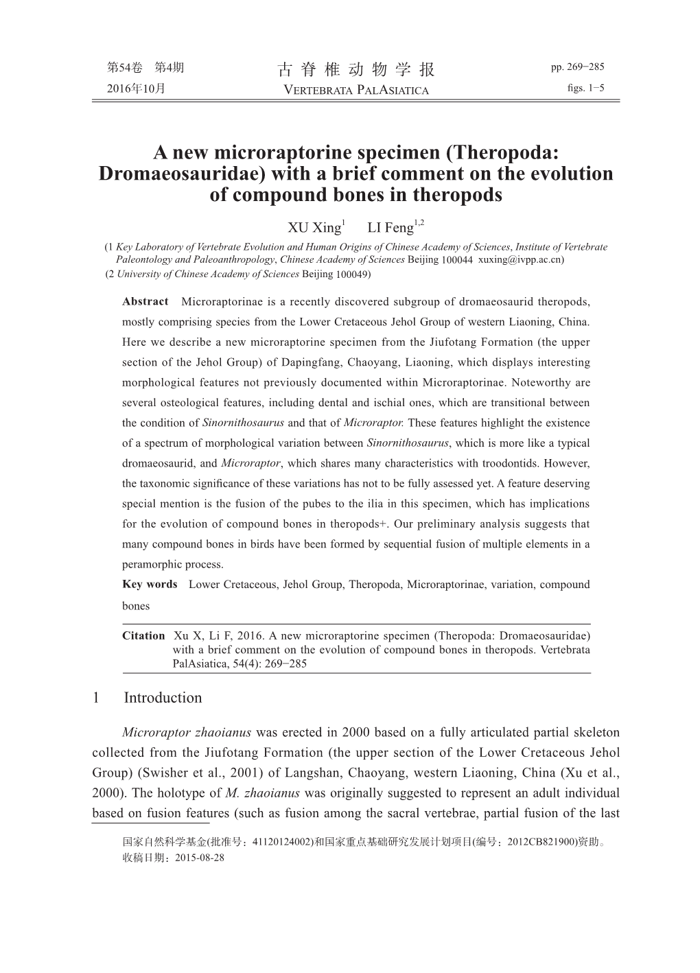 (Theropoda: Dromaeosauridae) with a Brief Comment on the Evolution Of