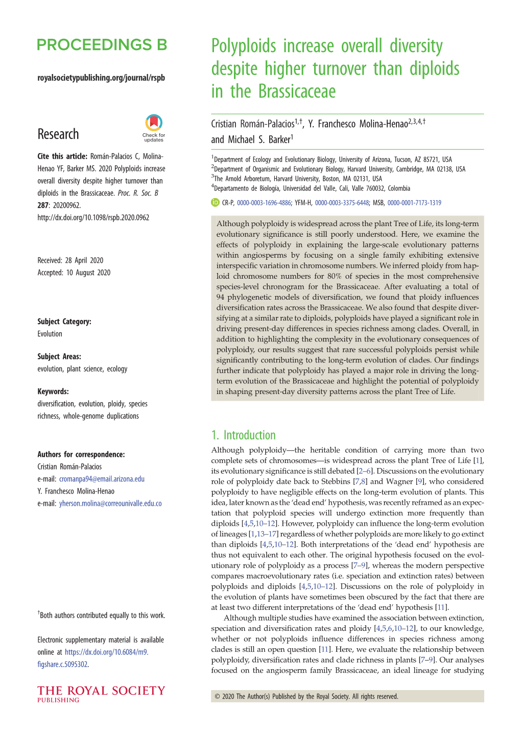 Polyploids Increase Overall Diversity Despite Higher Turnover Than