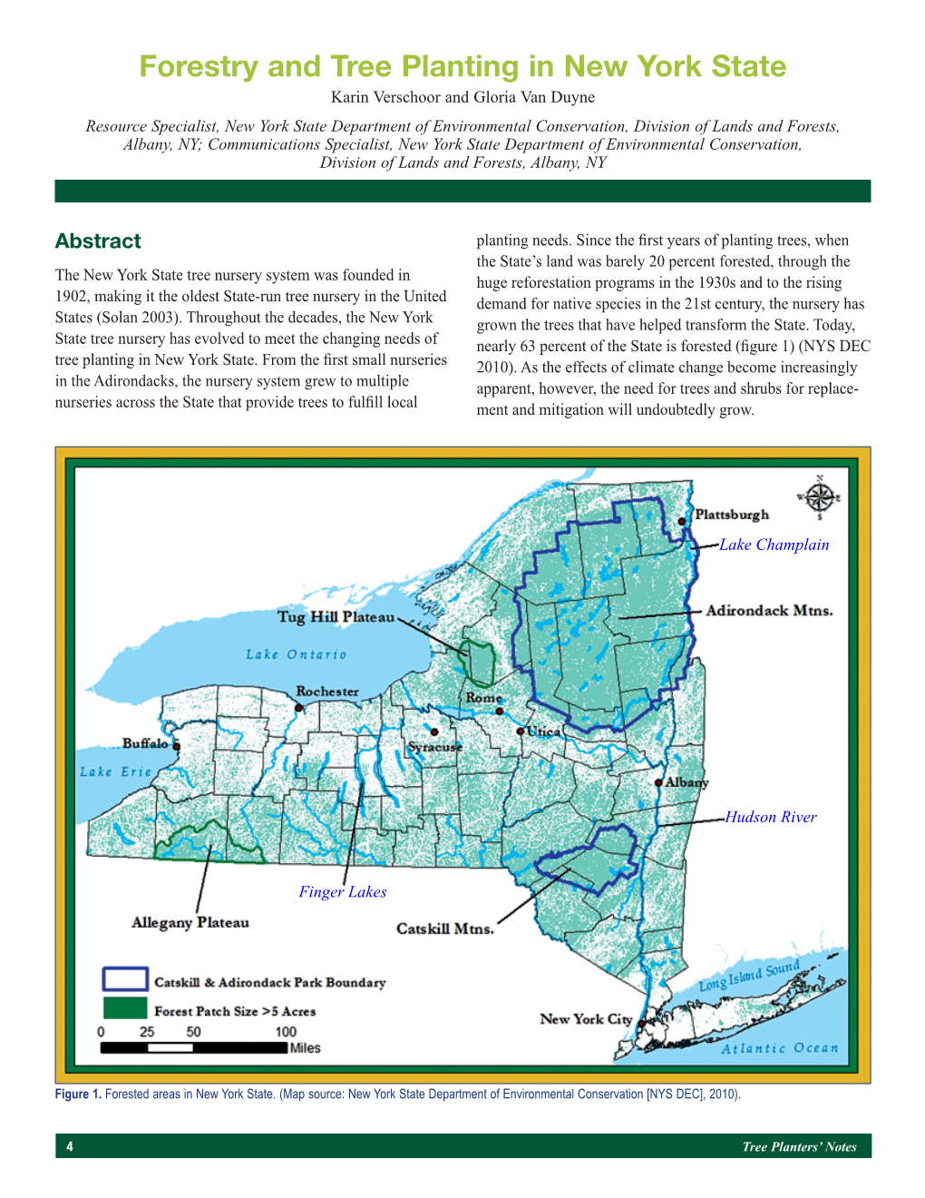 Forestry and Tree Planting in New York State